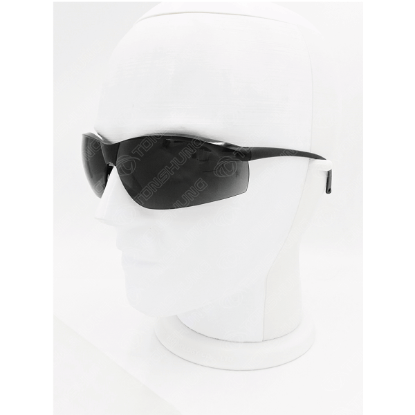 統順益(TONSHUNG) Wraparound Safety glasses SA1913