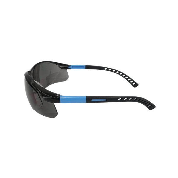 統順益(TONSHUNG) Wrap Around Safety glasses SA2029B